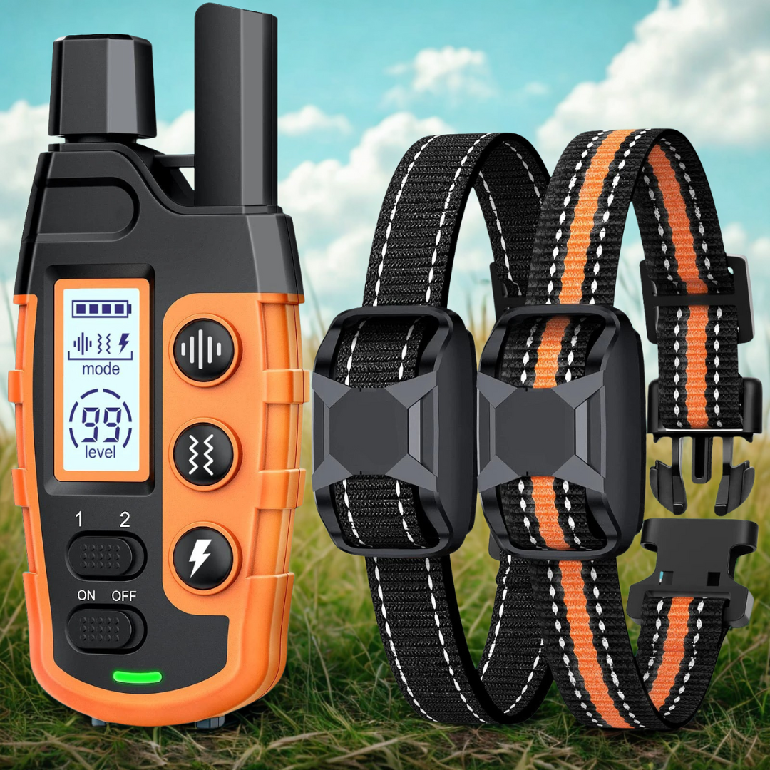Dog Training E-Collar