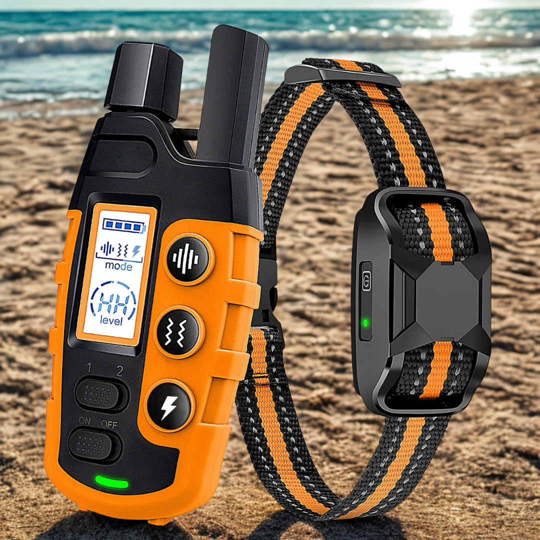 Dog Training E-Collar