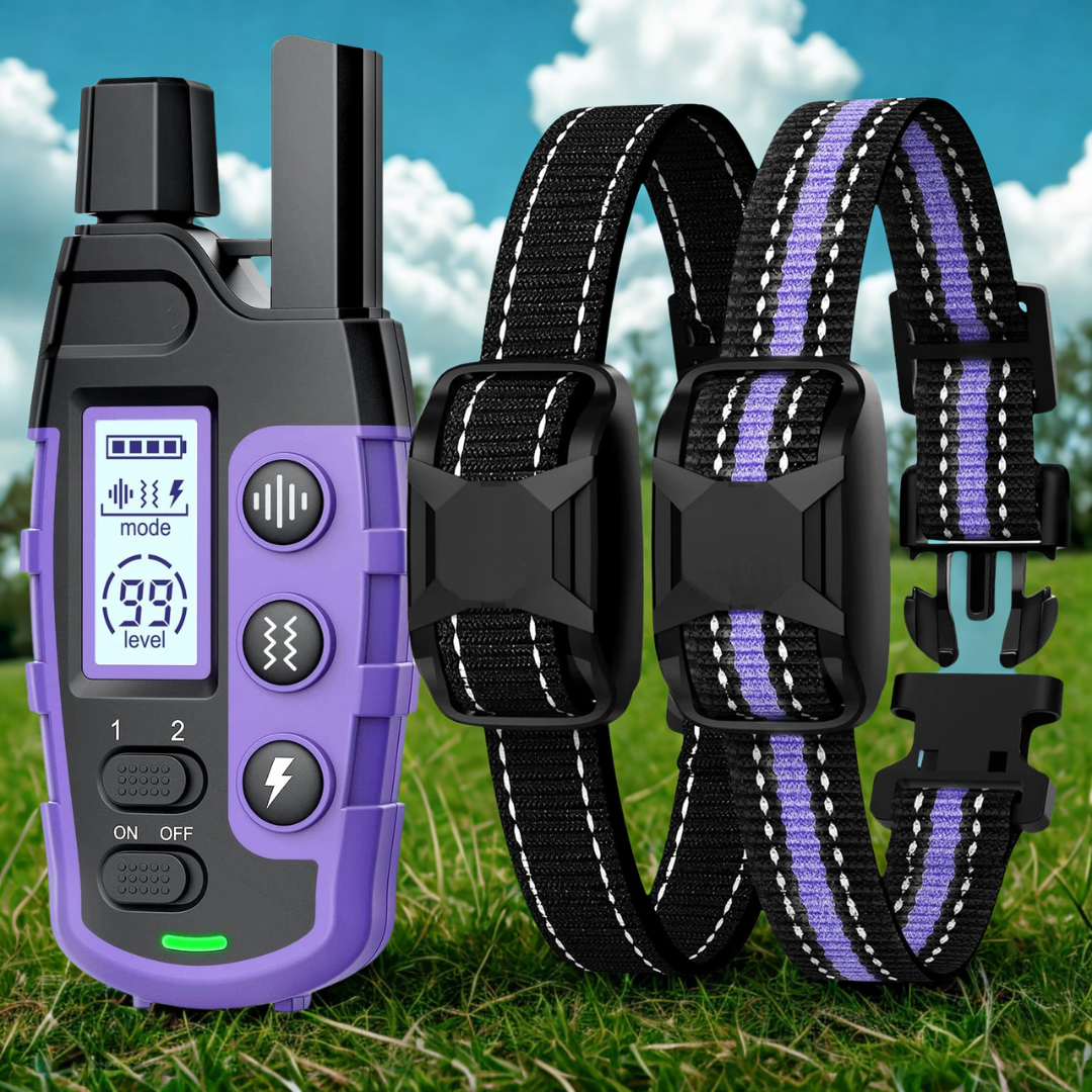 Dog Training E-Collar