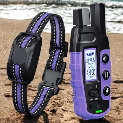 Dog Training E-Collar