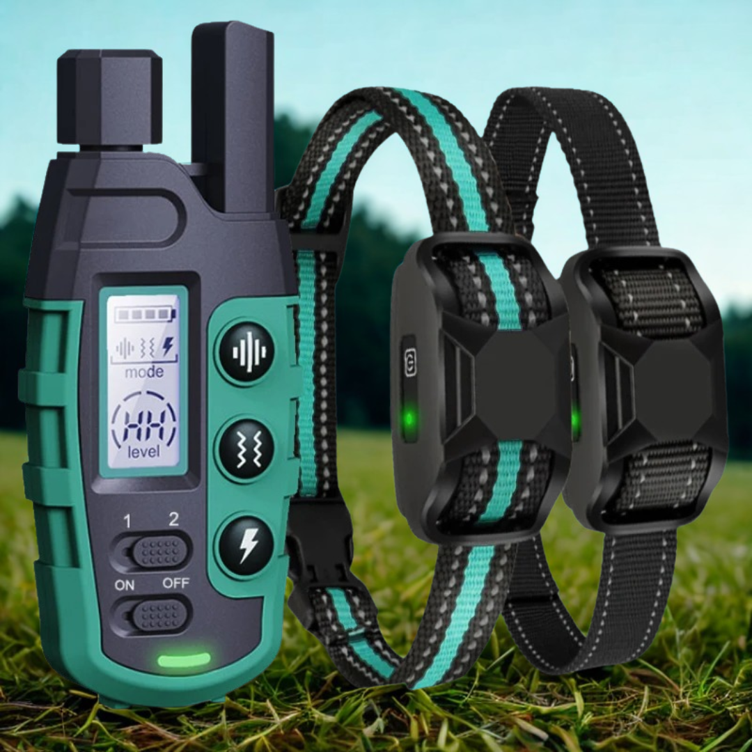 Dog Training E-Collar