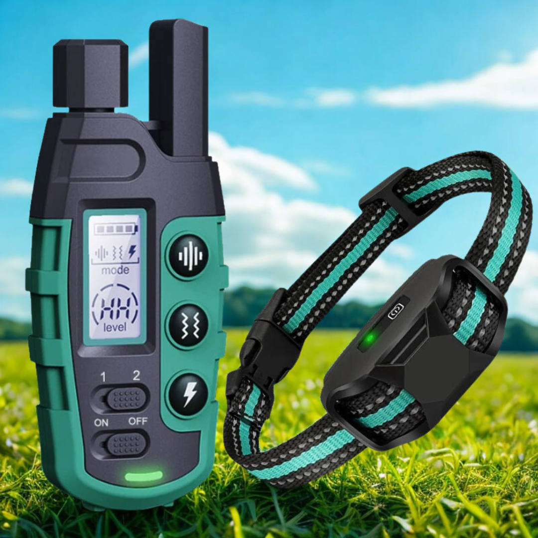 Dog Training E-Collar