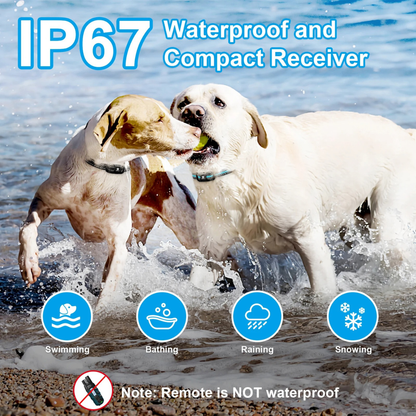 Dog Training E-Collar