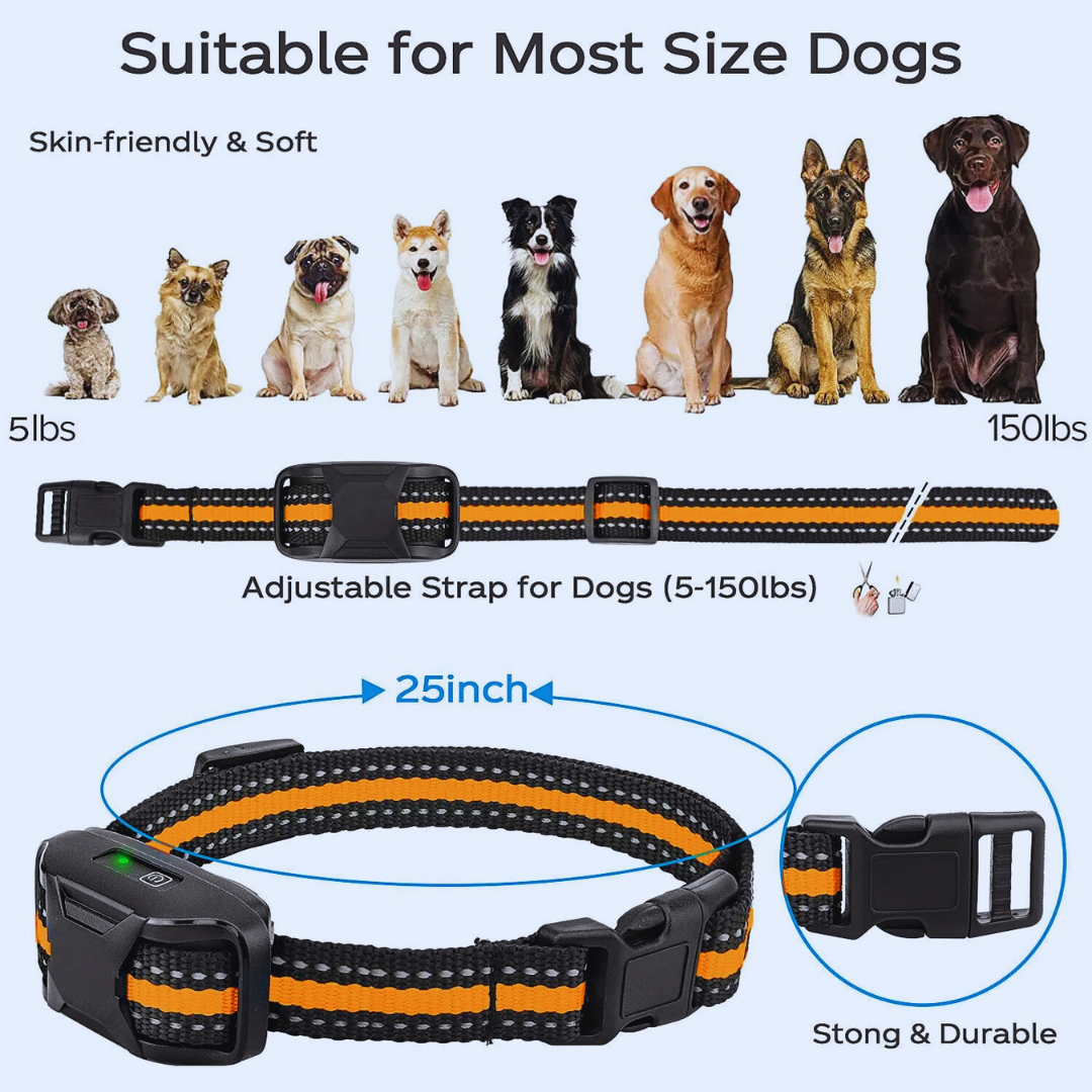 Dog Training E-Collar