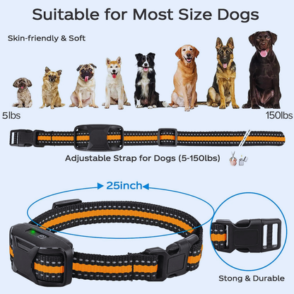Dog Training E-Collar