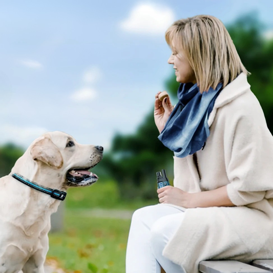 Dog Training E-Collar