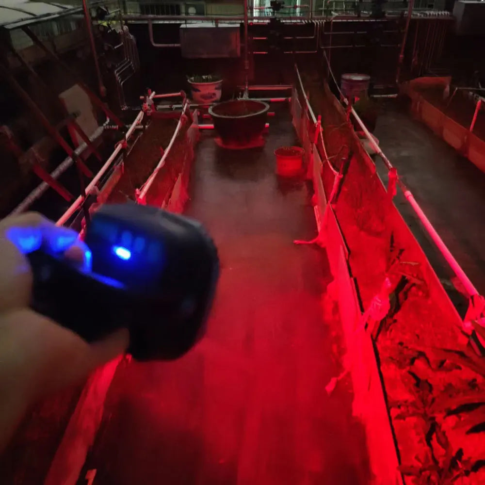 LED Rechargeable 3800 Lumen Light