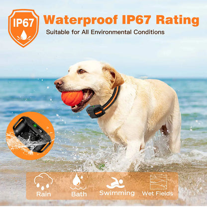 Dog Training E-Collar