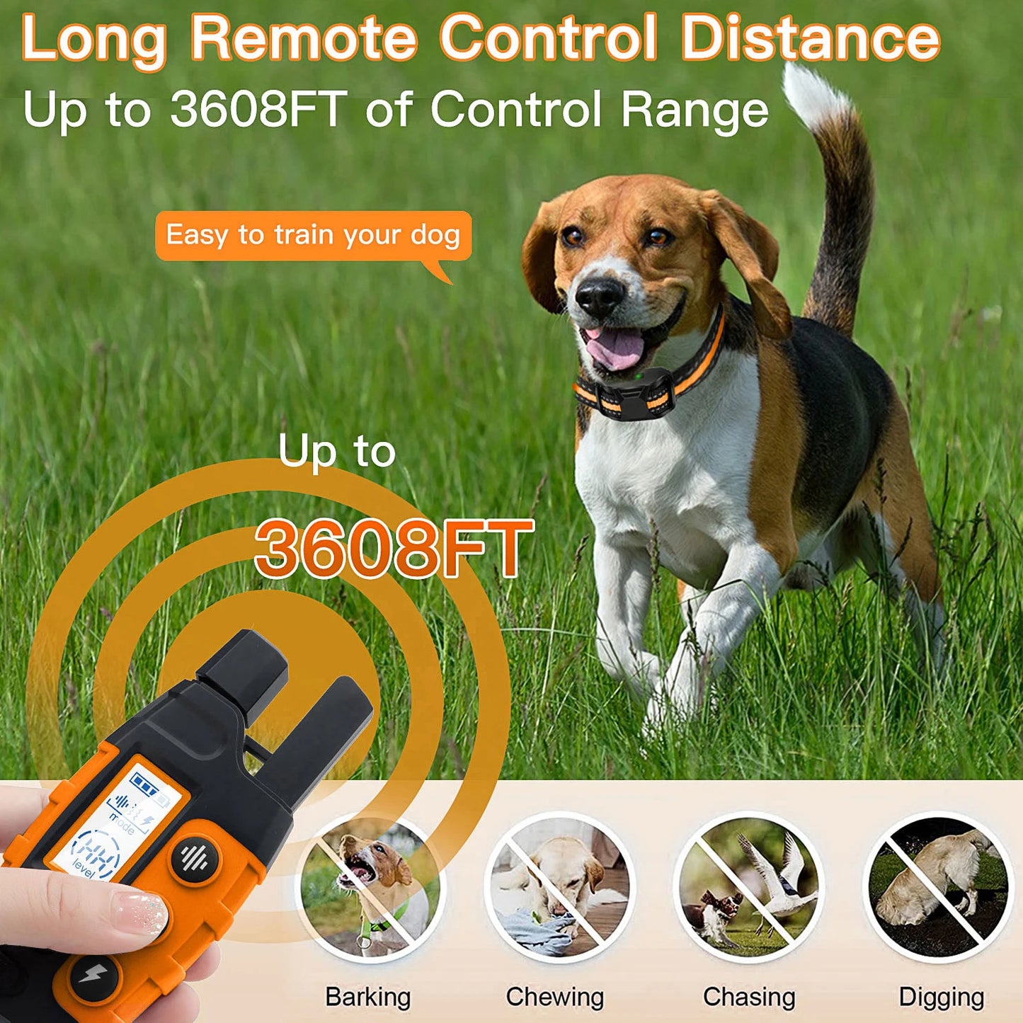 Dog Training E-Collar