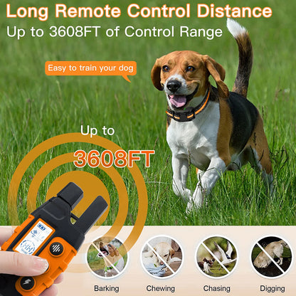 Dog Training E-Collar