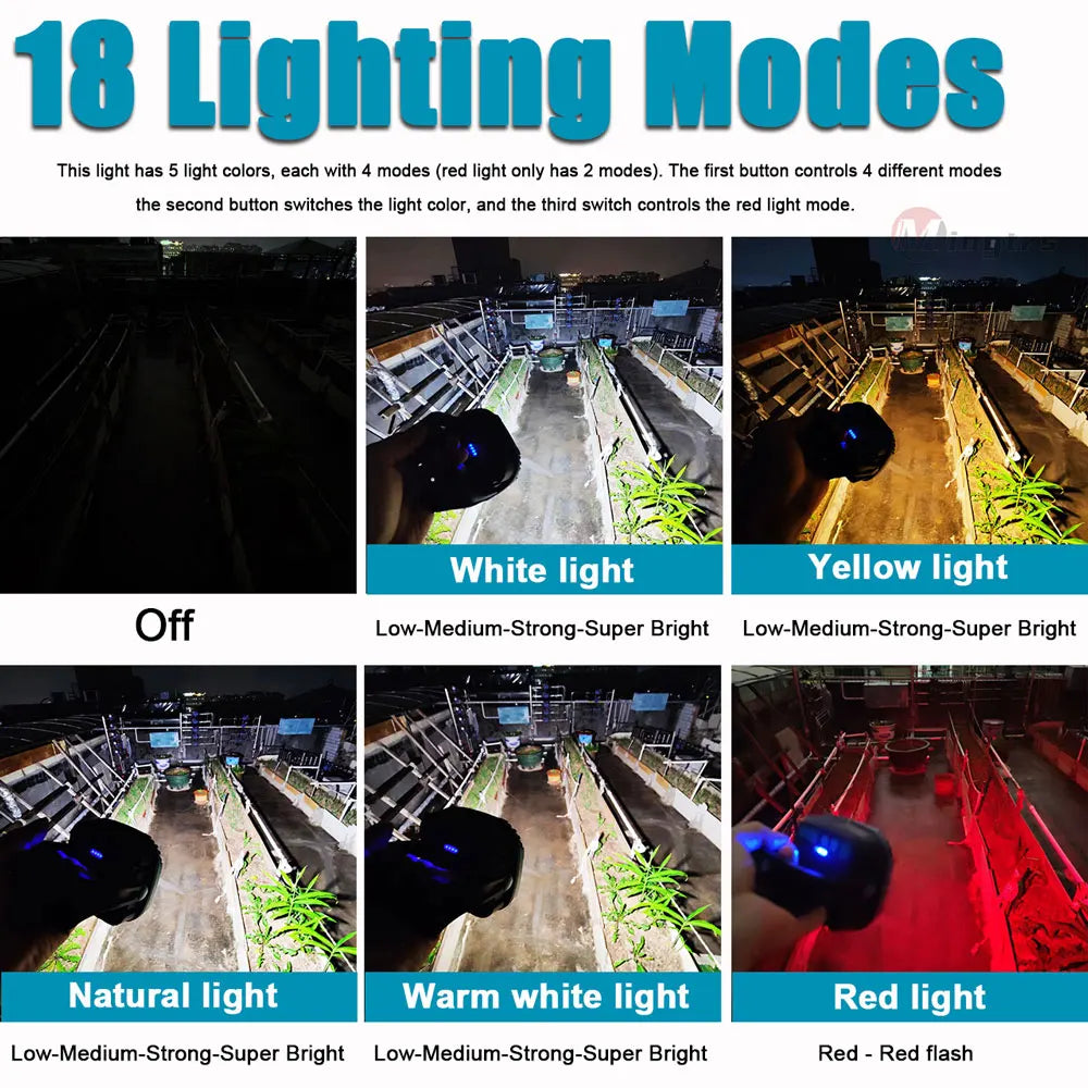 LED Rechargeable 3800 Lumen Light