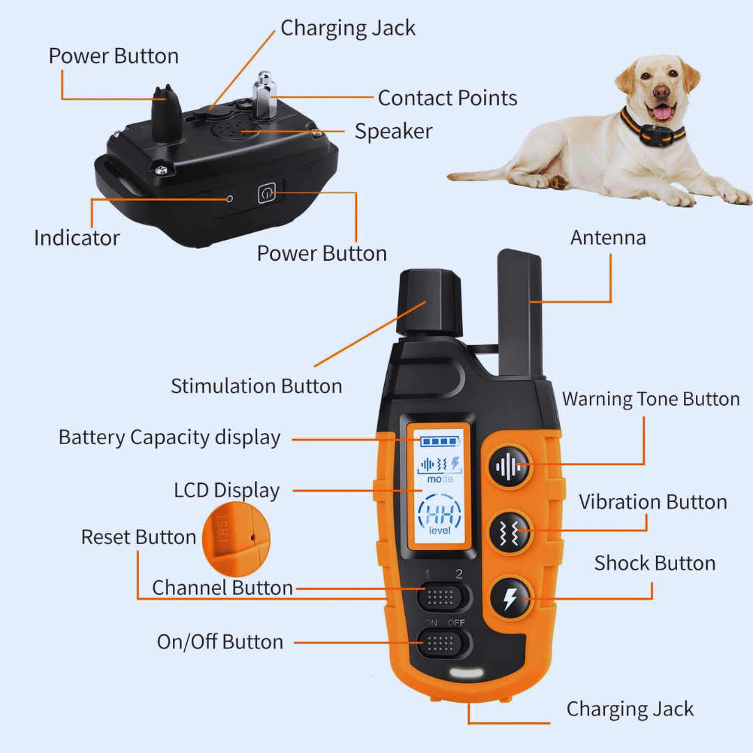 Dog Training E-Collar