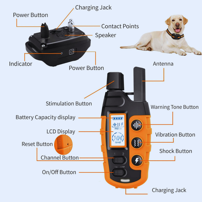 Dog Training E-Collar