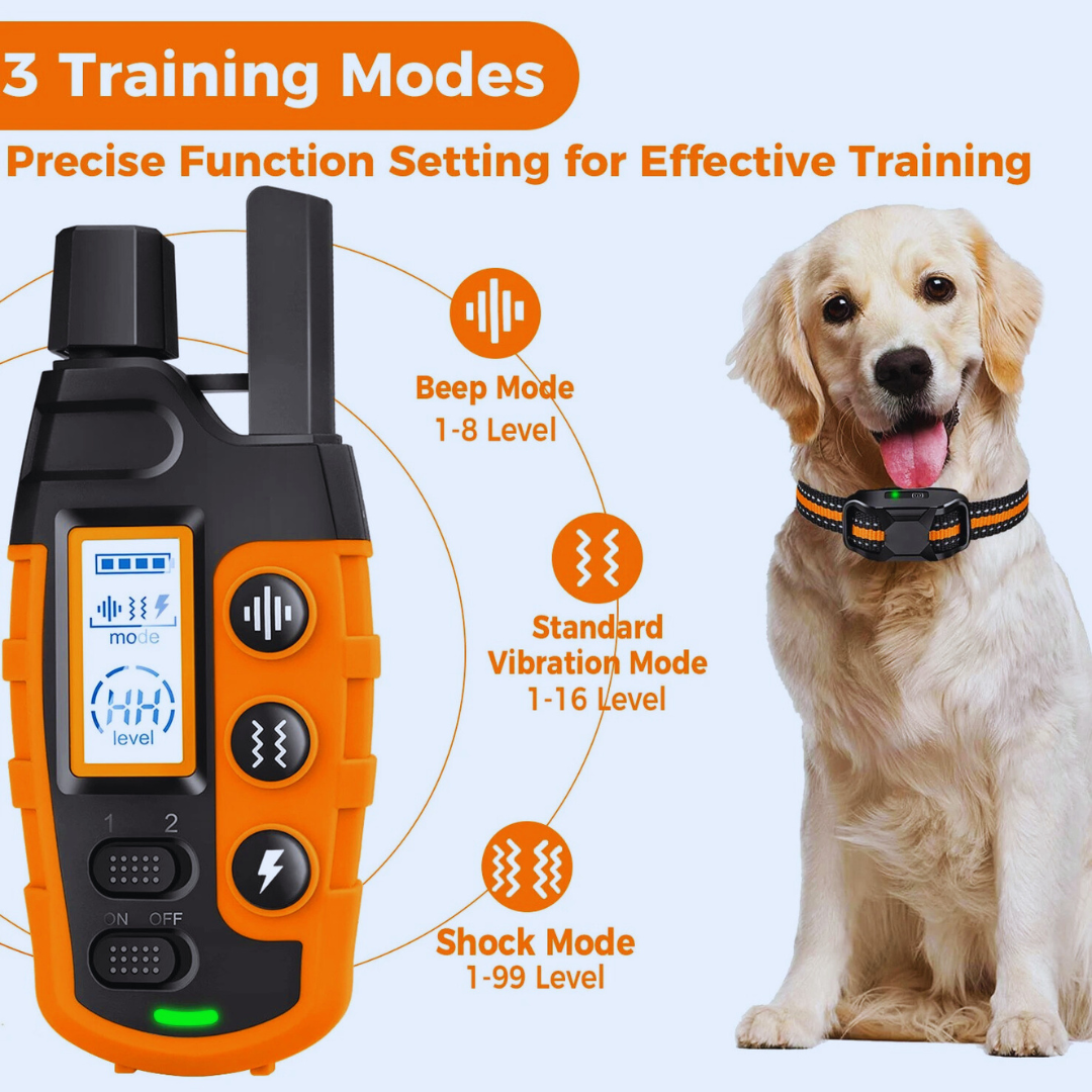 Dog Training E-Collar
