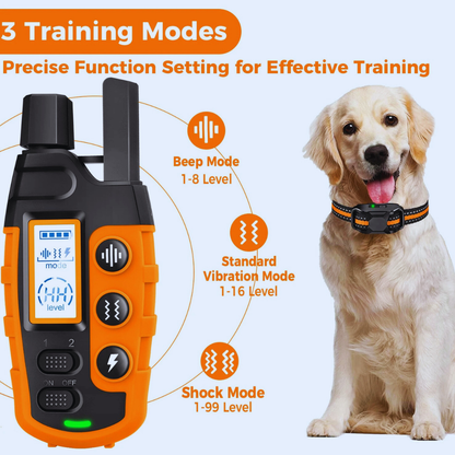 Dog Training E-Collar